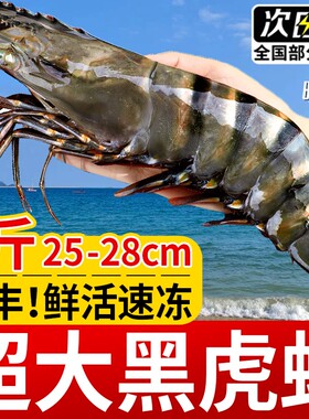 黑虎虾超大号3斤鲜活速冻