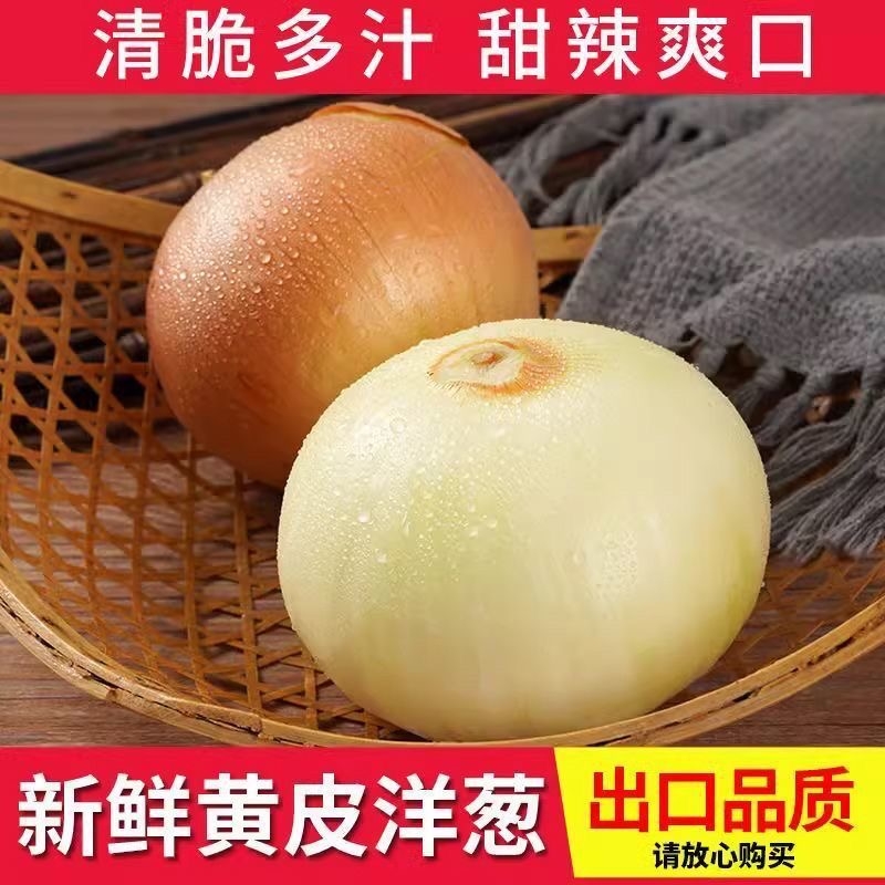 【精品】农家自种新鲜黄皮洋葱白洋葱脆甜鲜辣应季凉拌蔬菜包邮