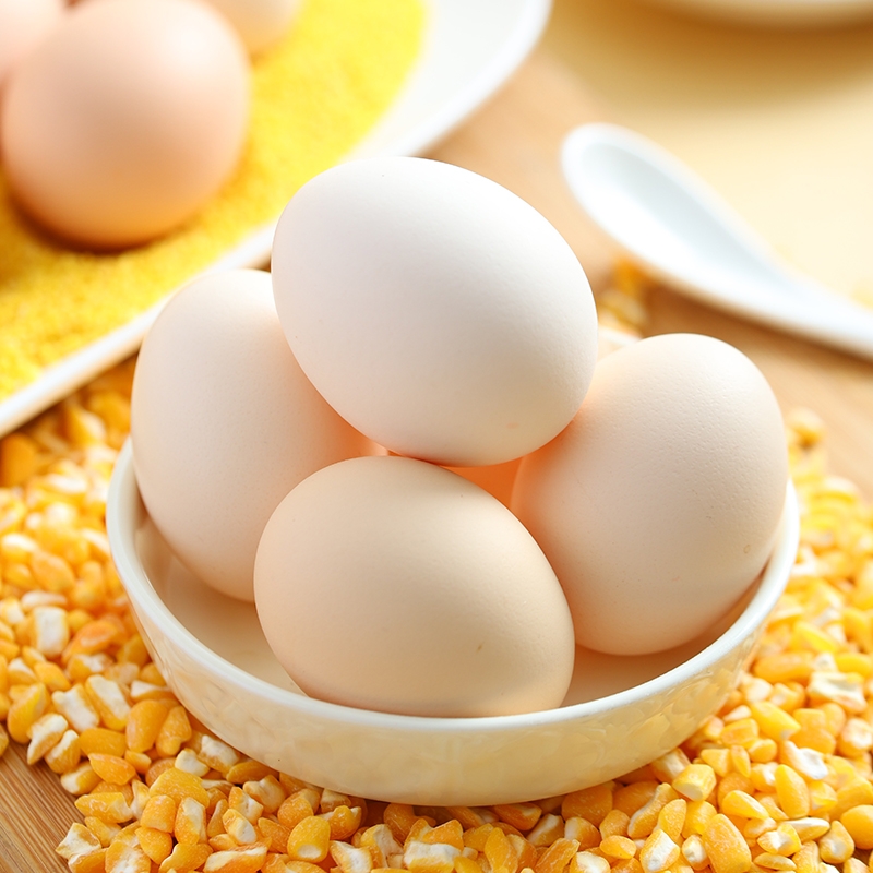 正宗农家散养20枚土鸡蛋新鲜柴鸡蛋草鸡蛋谷物鸡蛋一整箱