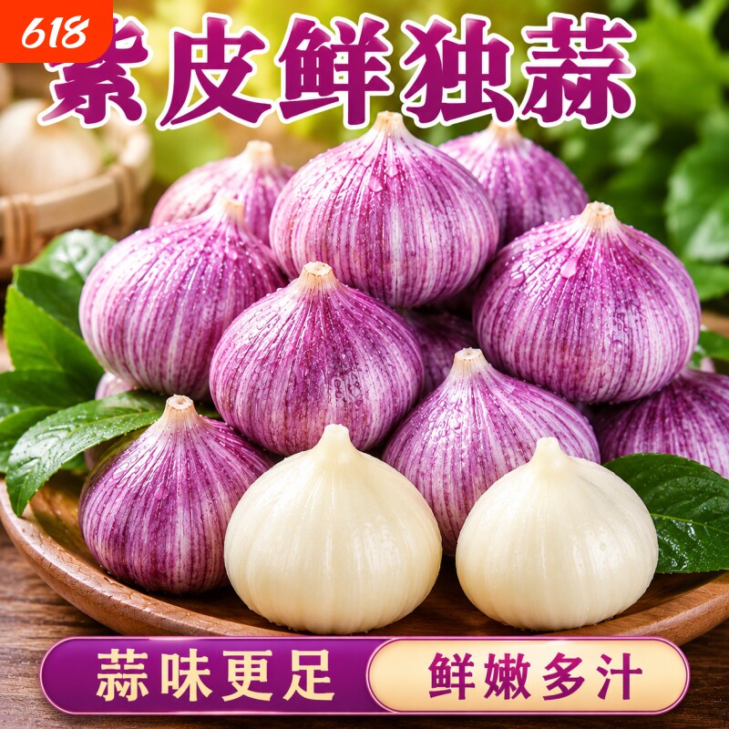 独头蒜紫皮2026年农家红皮鲜蒜独蒜新大蒜新鲜现挖湿蒜蔬菜非干蒜