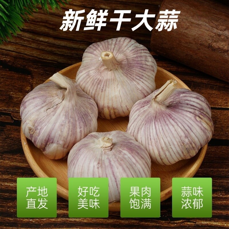 十足干大蒜头干蒜金乡批发特大果紫白皮蒜子便宜新鲜蔬菜自种果蔬