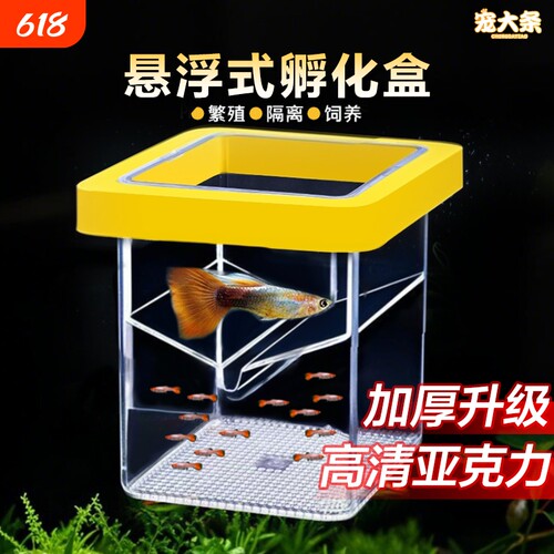 鱼缸繁殖隔离器悬浮式母鱼孵化器孔雀鱼凤尾鱼繁殖盒固定方形