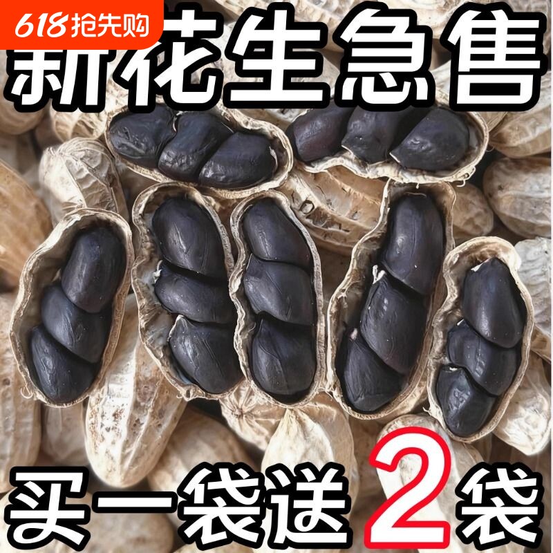新货富硒黑花生云南带壳花生黑衣生花生新鲜老品种好吃健康优选
