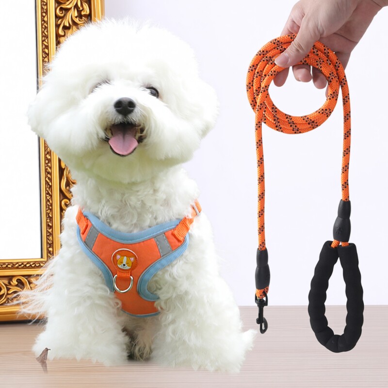 狗狗牵引绳小型犬泰迪比熊博美胸背带狗狗幼犬遛狗绳狗链子背心式