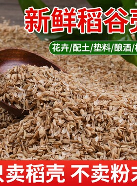 稻壳谷壳批发稻壳炭垫料枕头米糠营养土种菜专用多肉养花园艺