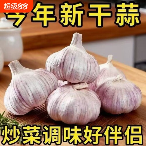 山东金乡新干蒜紫白皮大蒜多瓣大蒜头新鲜食用蒜子可做种可腌糖蒜
