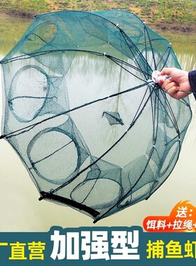 鱼网可折叠八角笼抓小龙虾捉泥鳅