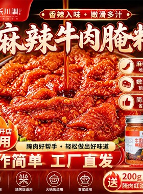 川禾川调麻辣牛肉腌料烧烤小郡肝调料排骨100g腌制香辣火锅腌肉