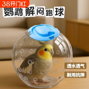 鹦鹉玩具跑球解闷自嗨小太阳解压牡丹虎皮走球啃咬滚球训练鸟类