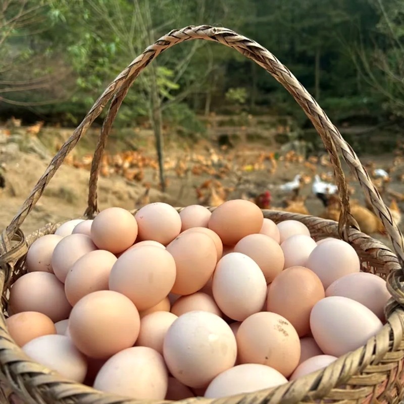 新鲜土鸡蛋农家散养正宗柴鸡蛋笨鸡蛋30枚谷物喂养草鸡蛋营养健康