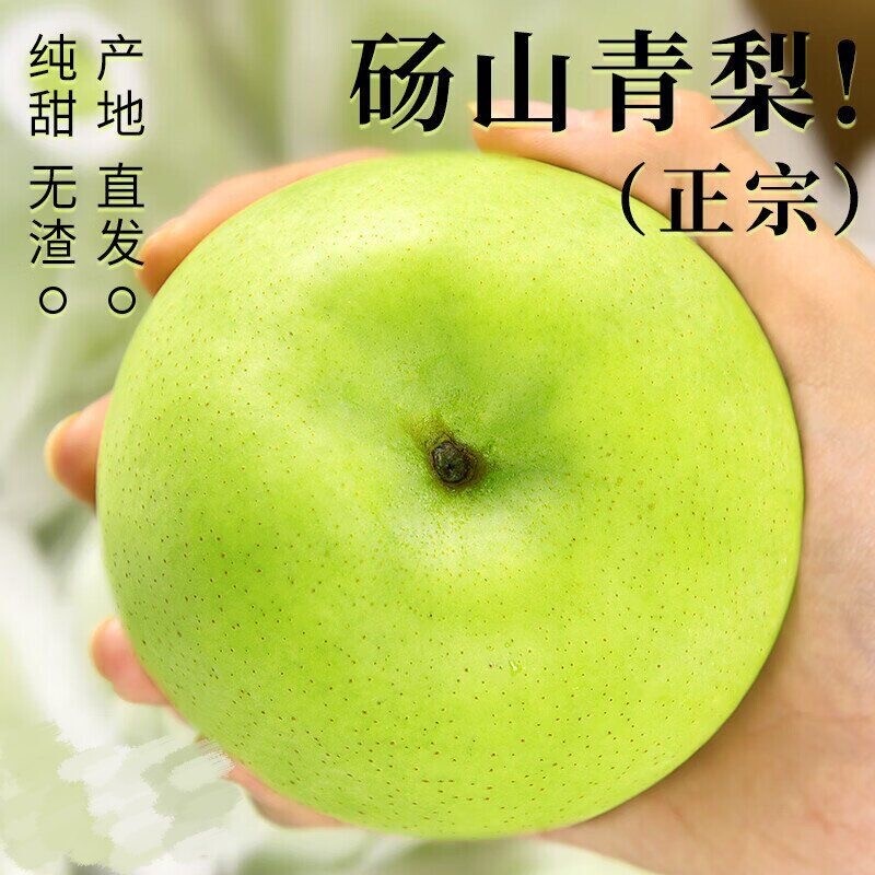 新鲜梨子整箱 5 斤装农家现摘脆甜多汁鲜果