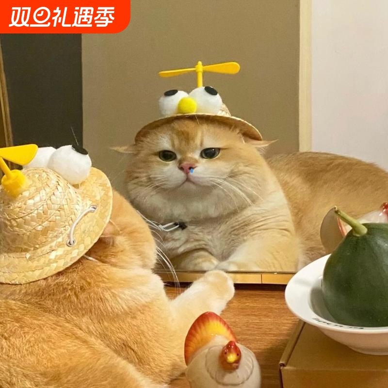 宠物猫咪狗狗草帽宠物头套柯基比熊竹蜻蜓编织帽拍照可爱春夏出游