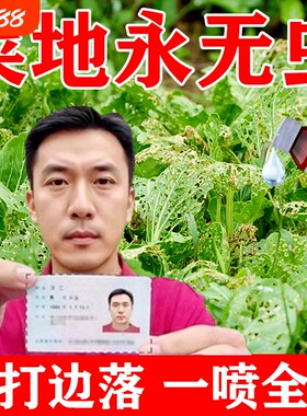 菜虫蔬菜除虫剂无毒菜园专用白菜青菜地蜗牛蚂蚁特效专用打虫药水