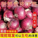 洋蔥甜味生吃新鮮蔬菜不辣紅皮大圓蔥頭批發(fā)正宗紫皮脆甜