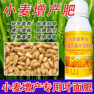 小麦增产叶面肥劲跑麦黄金增产促分蘖抗倒伏灌浆籽粒饱满