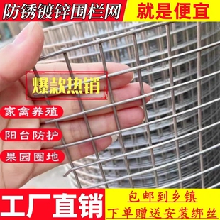 镀锌铁丝网围栏防护网防鼠养殖网拦鸡网鸡笼钢丝网护栏网鸟笼窗户