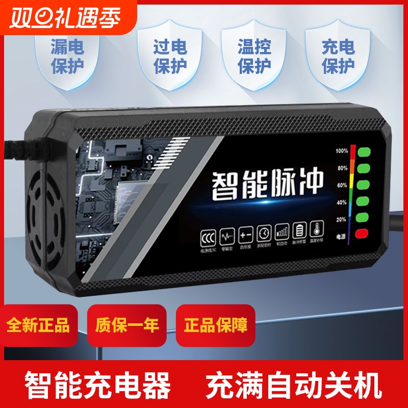 电动车电瓶充电器48v12ah60v20a72v适用于爱玛雅迪三轮铅酸石墨烯