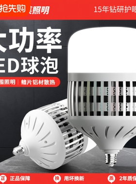 金雨莱大功率灯泡螺口led灯节能家用E27超亮强光照明特亮室内灯芯