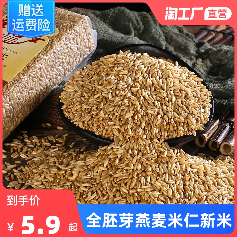 Oatmeal full germ, oatmeal raw nude oats, pentagram, grain grain, rampant grain 500g