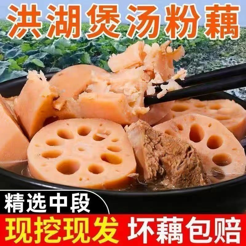 湖北洪湖粉藕莲藕炖汤粉藕