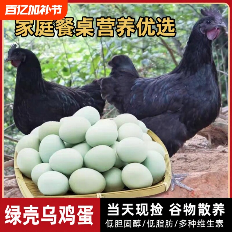 乌鸡蛋正宗农家散养20枚大别山虫草笨鸡蛋跑山鸡蛋绿壳土鸡蛋新鲜