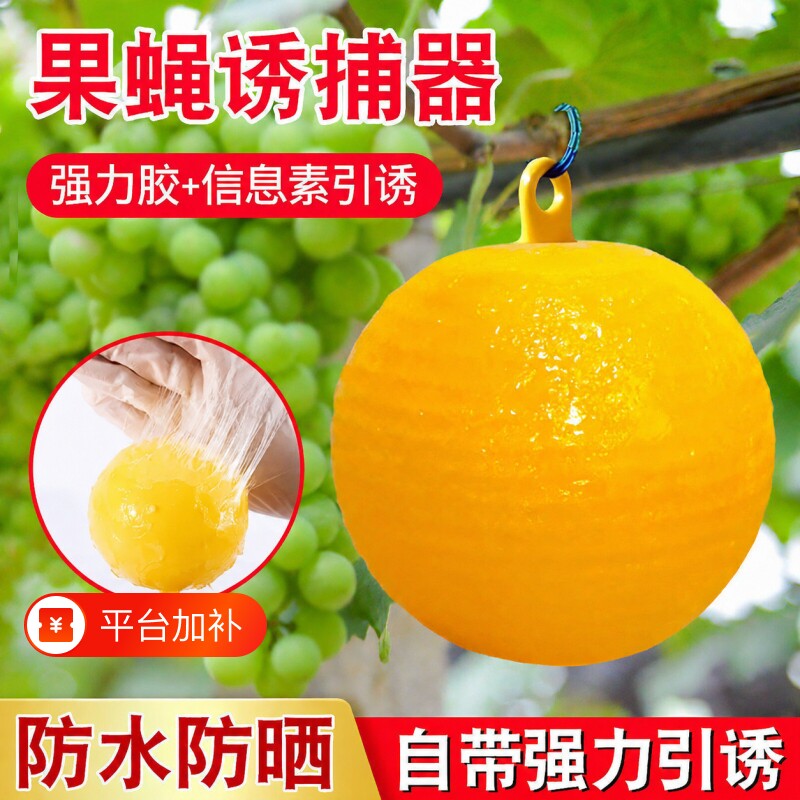 果实蝇粘虫球果蝇诱捕器诱蝇球丝瓜贴针蜂马蜂色引诱剂双面黄板纸