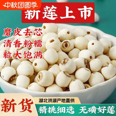 新货野生去芯莲子干货500g湘潭粉糯天然新鲜商用磨皮莲蓬大粒散装