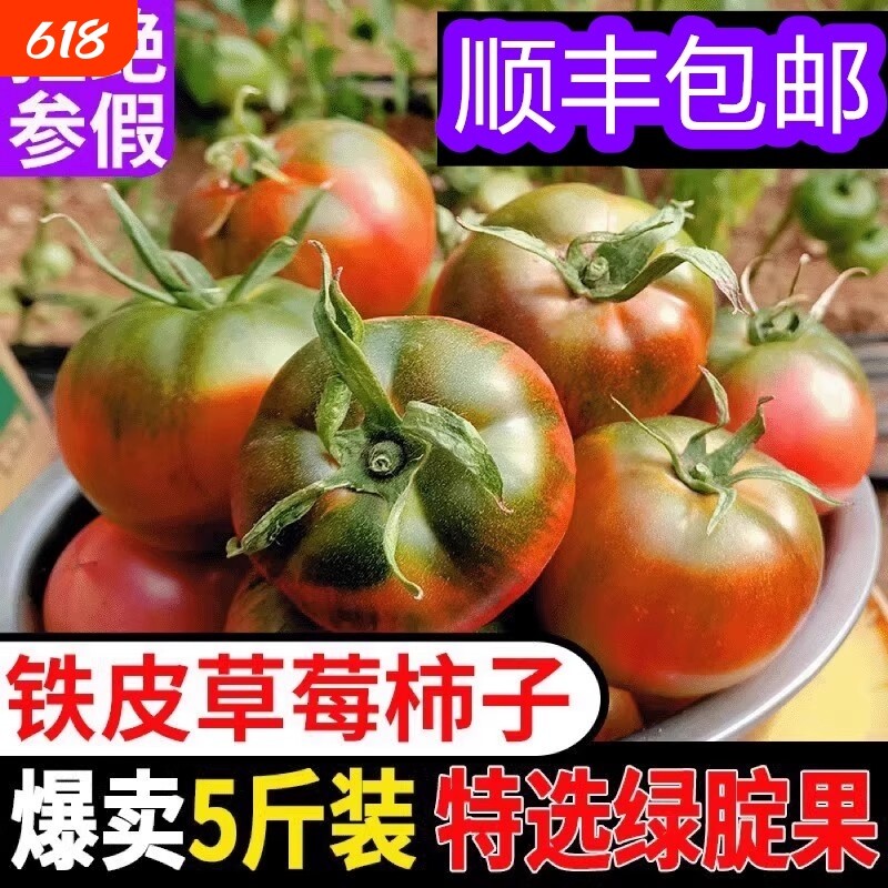 顺丰包邮丹东正宗铁皮草莓柿绿腚子番茄5斤装特选新鲜多汁现摘