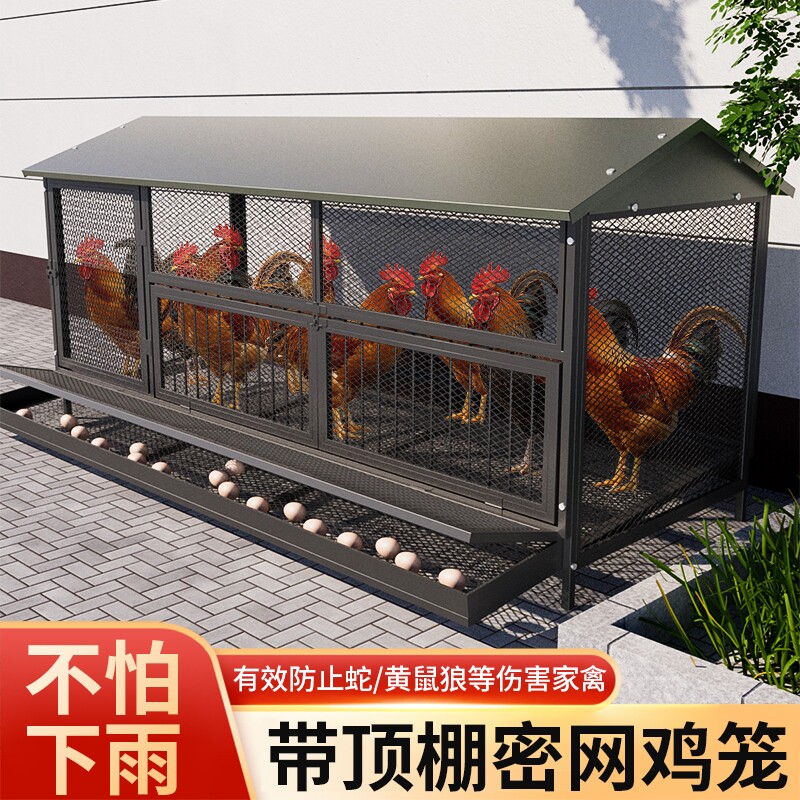 鸡笼子农村家用室外大号家禽笼养鸡场蛋鸡养殖笼加密防鼠防蛇鸡舍