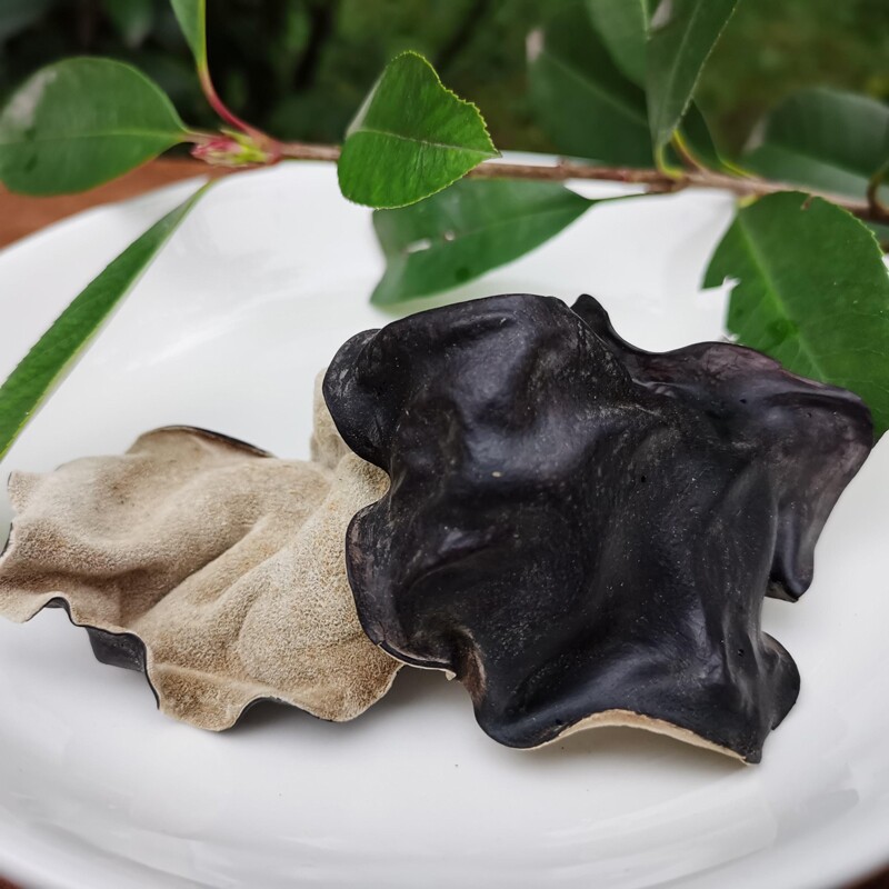 头茬毛木耳加肥加大厚火锅脆木耳图片