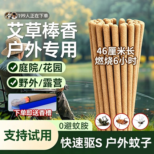 艾叶户外艾草香庭院花园饭店家用