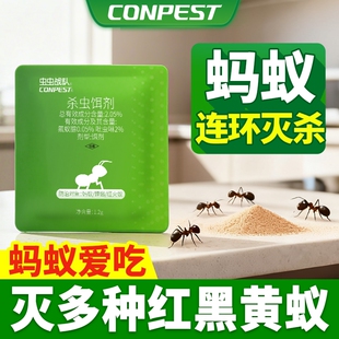 CONPEST蚂蚁药家用灭蚁饵剂除杀红黄黑蚂蚁净室内小蚂蚁杀虫剂