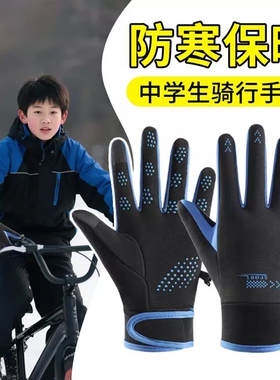 骑行手套防滑防风触屏加绒防寒