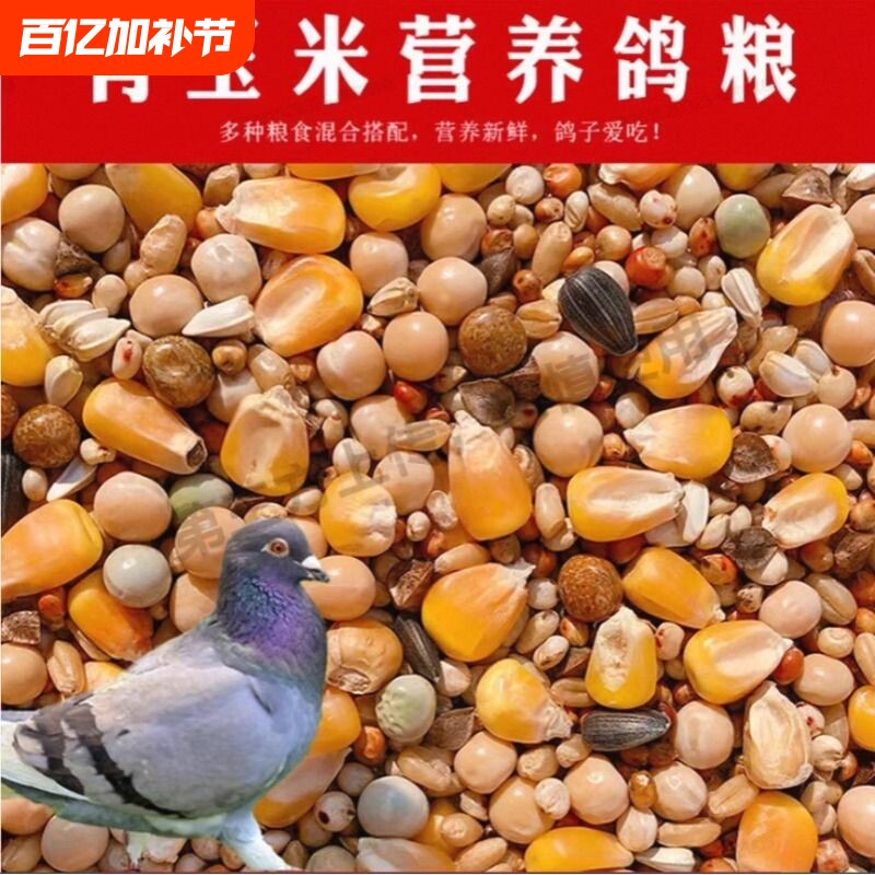 鸽子粮有玉米鸽粮食营养饲料鸟食信鸽幼鸽成鸽粮5斤装混合豌豆
