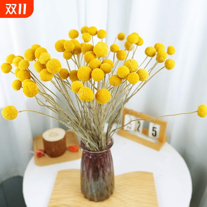 真干花黄金球套装干花天然风干