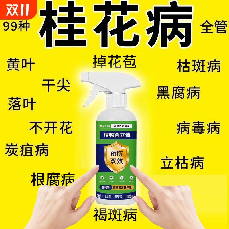 桂花枯叶病黄叶焦叶斑复活促开茶花催花剂座果灵树专用营养液种菜