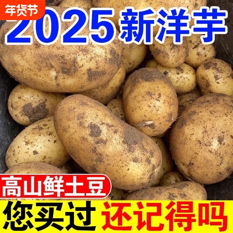 贵州农家新鲜现挖黄皮土豆黄皮黄心洋芋马铃薯辅食蔬菜--洋芋国,水产肉类/新鲜蔬果/熟食,土豆,淘宝优惠券,粉丝福利购,淘宝优惠卷