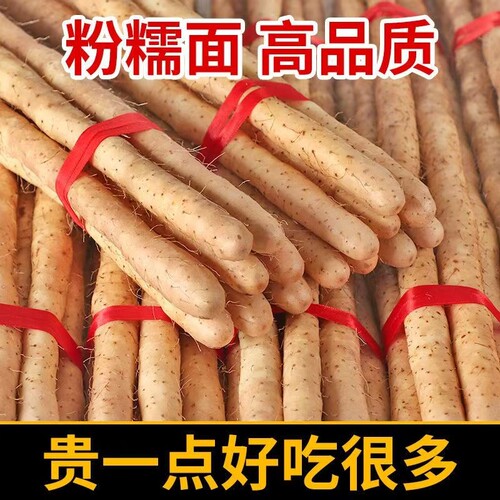 铁棍山药铁杆河南焦作温县垆土淮山怀山药新鲜5斤特产整箱准整箱