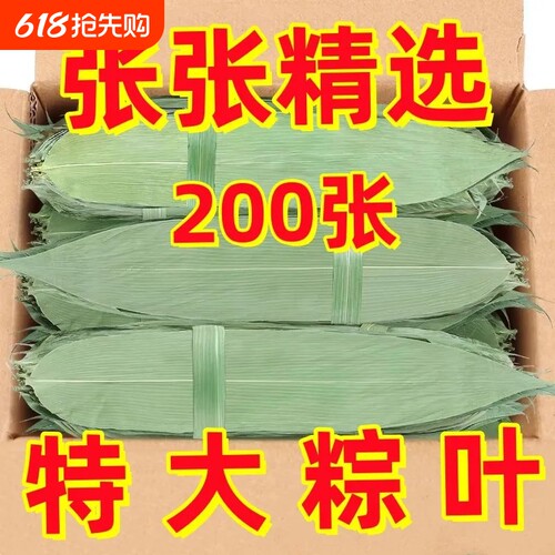 端午节包粽子专用粽叶粽子叶新鲜特大号干棕叶粽叶官方旗舰店无硫