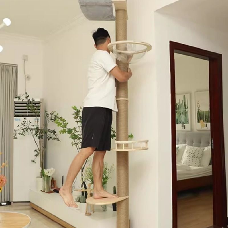 通天柱猫爬架不占地猫窝猫树一体猫抓柱顶天立地猫架猫屋麻绳实木