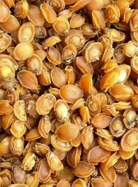 鲍鱼干货厚肉鲍鱼大连黄金干鲍仔迷你礼盒装货煲粥炖汤非即食