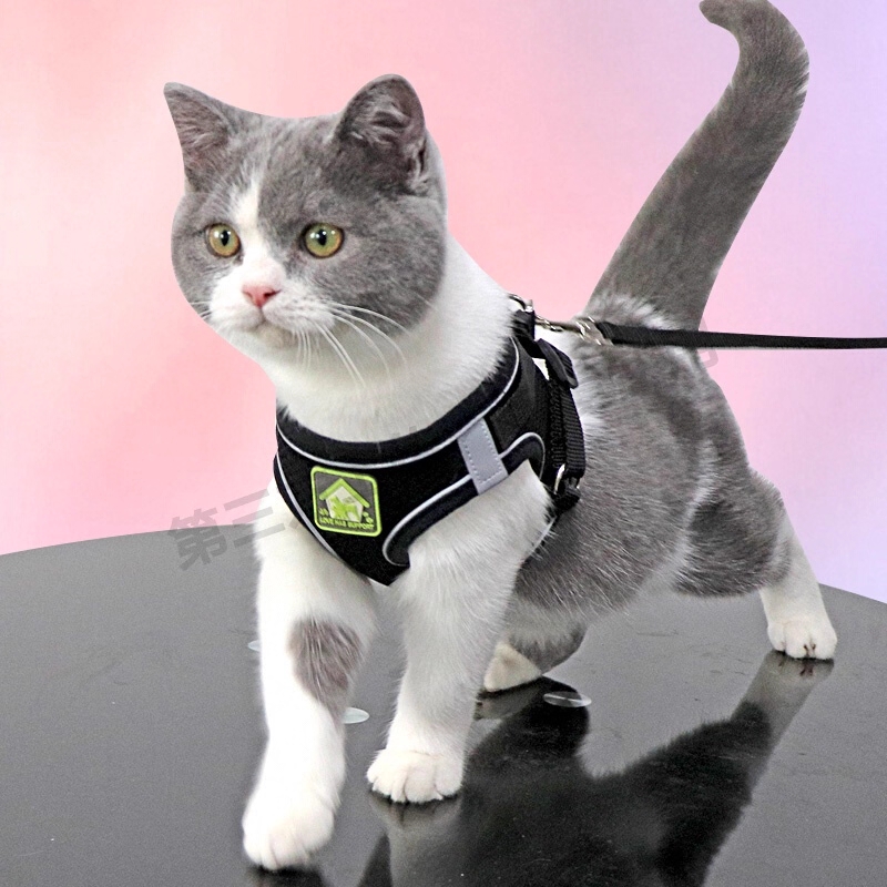花朵猫咪牵引绳工字型宠物背带牵引绳小型犬狗狗绳遛猫绳