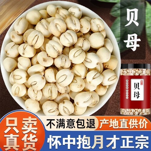 正品贝母中药材官方旗舰店500克无硫新货特级贝母止粒咳粉泡水