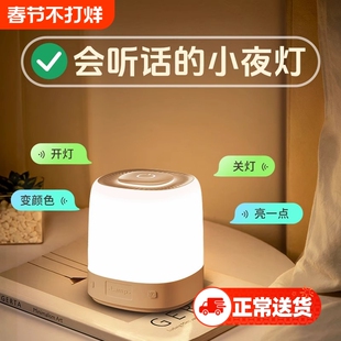 智能语音灯小夜灯声控感应卧室床头睡觉定时家用夜晚台灯2024新款