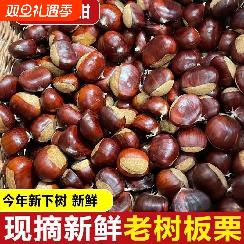 【产地直发】2025正宗板栗当季新货新鲜板栗生栗子批发甘甜毛栗子