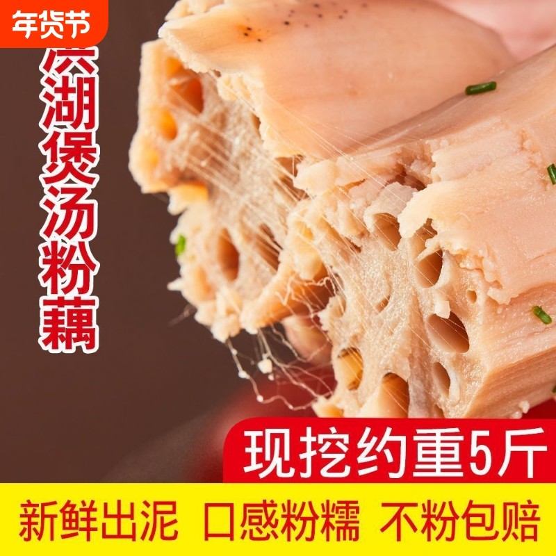 正宗洪湖粉藕孕妇老人小孩湖北特产粉糯莲藕现挖新鲜藕煲炖汤九孔,水产肉类/新鲜蔬果/熟食,莲藕,淘宝优惠券,粉丝福利购,淘宝优惠卷