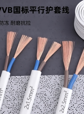 家用电线二芯白色护套电源线2芯1/1.5/2.5平方户外防水多股软电缆