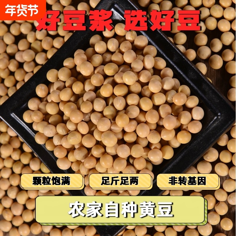 农家种植农家自产土黄豆笨黄豆优质农黄豆煮粥炖菜打豆浆干货