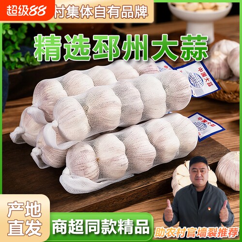 产地直发邳州净蒜 商超同款调味大蒜头网兜条装多瓣大蒜新鲜特大