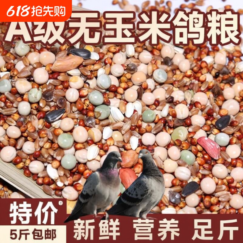 鸽粮50斤优质高粱玉米粒清除鸽子包邮营养饲料小麦无玉米幼鸽粮食
